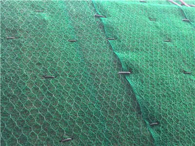 IMG_3286.JPG IMG_3286.JPG