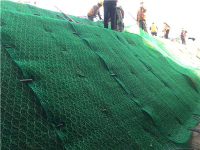 IMG_3289.JPG IMG_3289.JPG